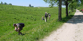 EGZ-Exkursion, Weissenstein (SO), 2006.06.24.-25