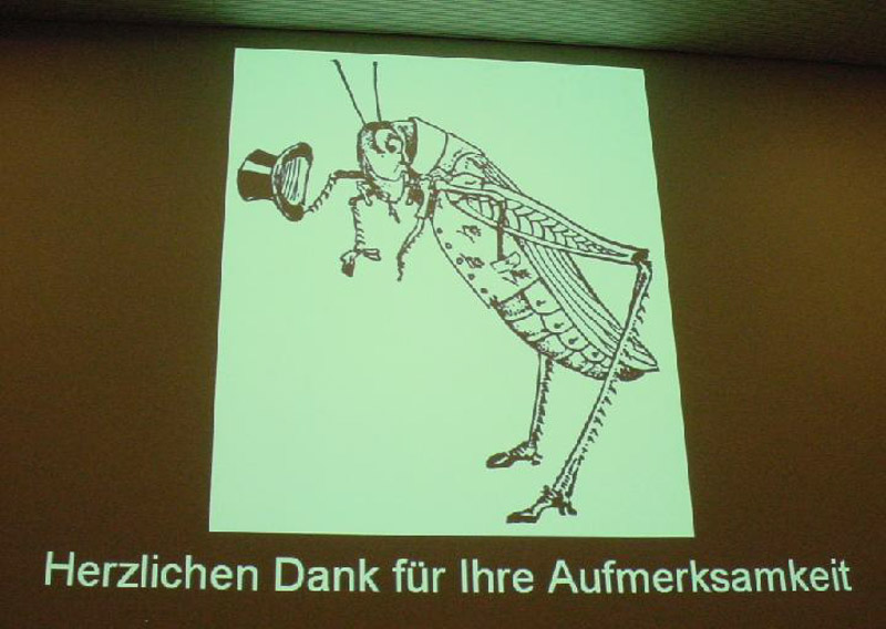 Bild24