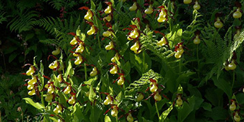 EGZ-Exkursion, Lauerz, 2012.05.19