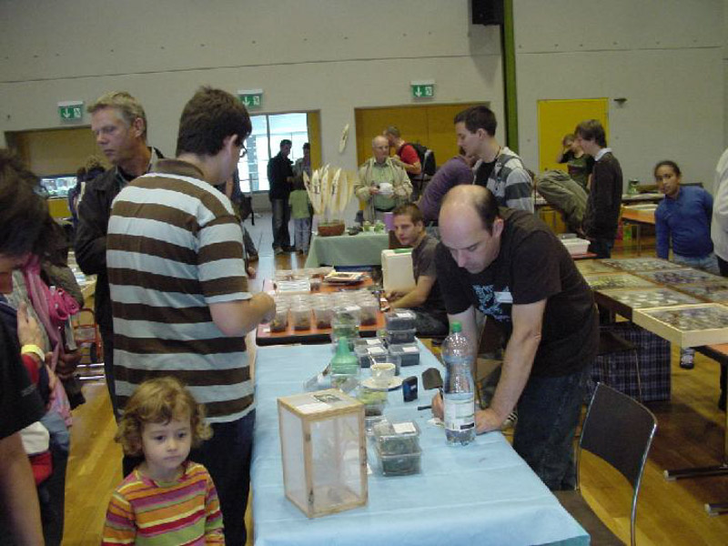 Dsc01897