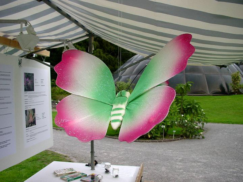 Dsc04172