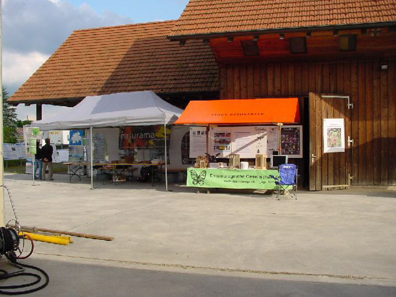 Dsc07338