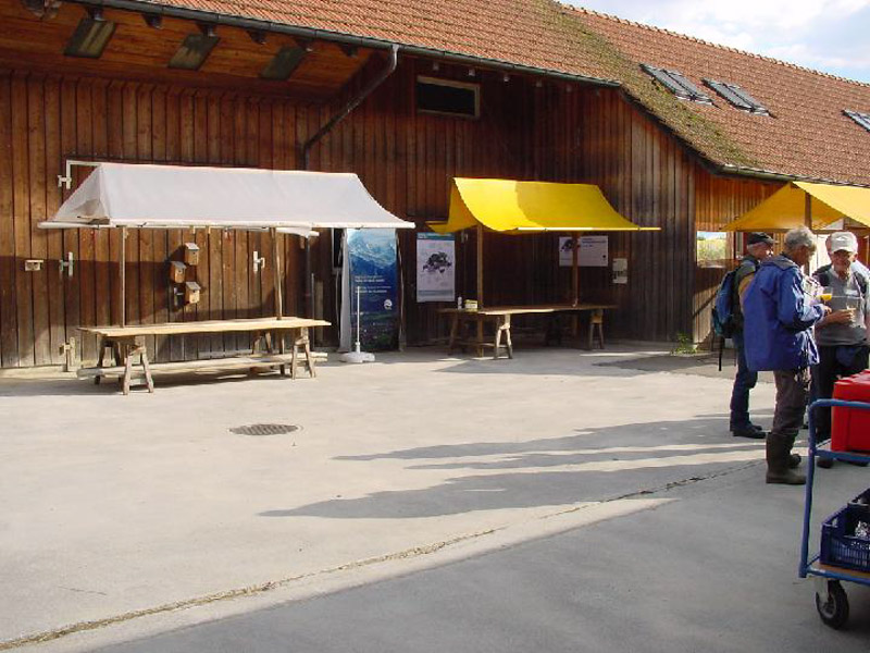Dsc07339