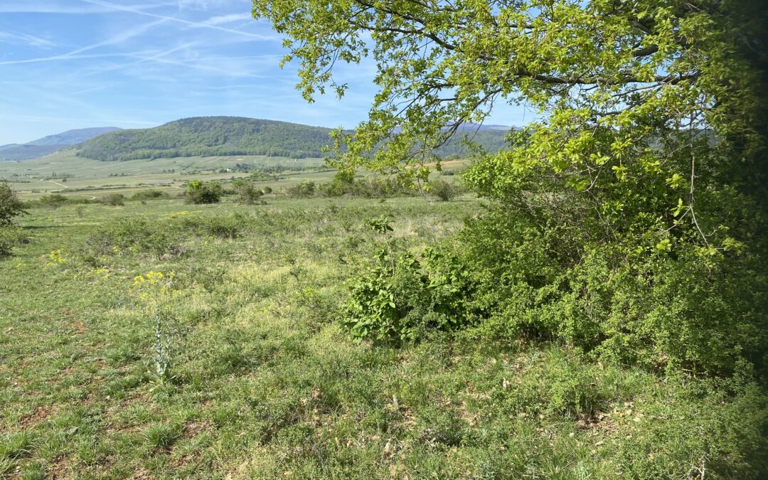 Auslandsexkursion auf den Bollenberg